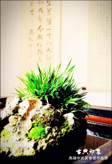 中式绿植装饰
