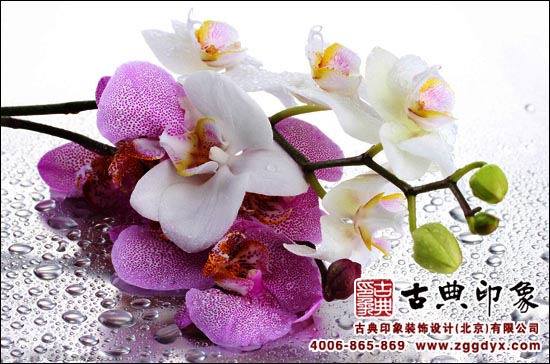 兰花中式装饰
