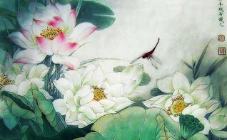 中式风格画轴中美丽空灵的莲意